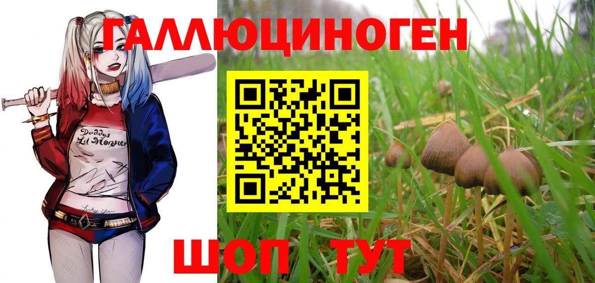 Галлюциногенные грибы мухоморы  Галлюциногенные грибы ЛСД  Богданович  Вход с VPN 